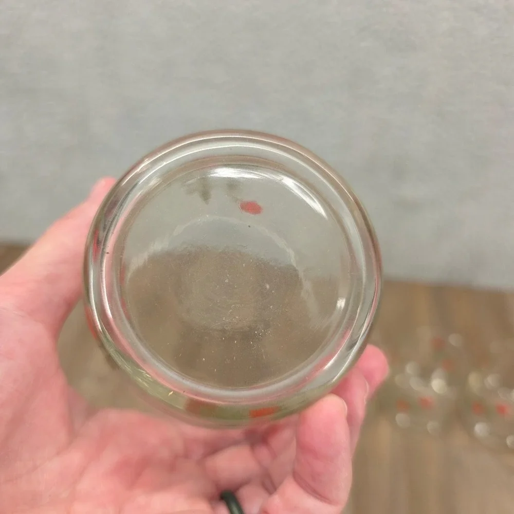 Vintage Red Rose Print Juice Glasses Set of 5 Clear Floral Tumblers 3.25in